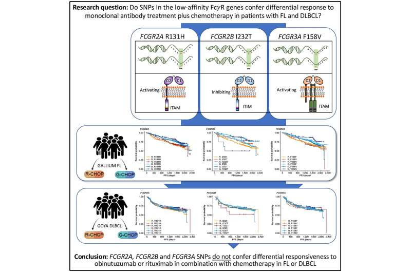 International project provides definitive data on how key cancer drugs work