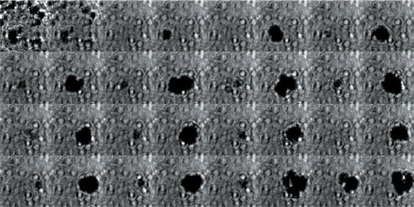 Engineered Bacteria Use Air Bubbles as Acoustically Detonated Tumor TNT