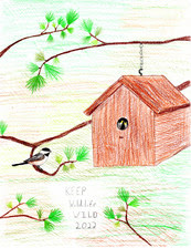 A child's drawing done with colored pencils of a birdhouse hanging from a tree branch and a chickadee next to it on a branch.