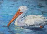 Painting on Sale, Daily Painting, Small Oil Painting, Pelican Painting, 6x8" Oil - Posted on Wednesday, December 17, 2014 by Carol Schiff