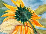 Sunflower Backside - Posted on Friday, March 27, 2015 by Rafael DeSoto Jr.