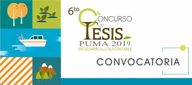 6Â° Concurso de tesis Puma 2019