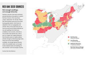 This map of red oak seed sources provides an example of a major threat to an important effort against climate change: major government and private funding is being invested in planting trees as a powerful tool to fight local and global warming. But new research in the journal Bioscience, from which this map is adapted, shows a troubling bottleneck that could threaten these efforts: U.S. tree nurseries don’t grow close to enough trees—nor have the species diversity needed—to meet ambitious planting goals.