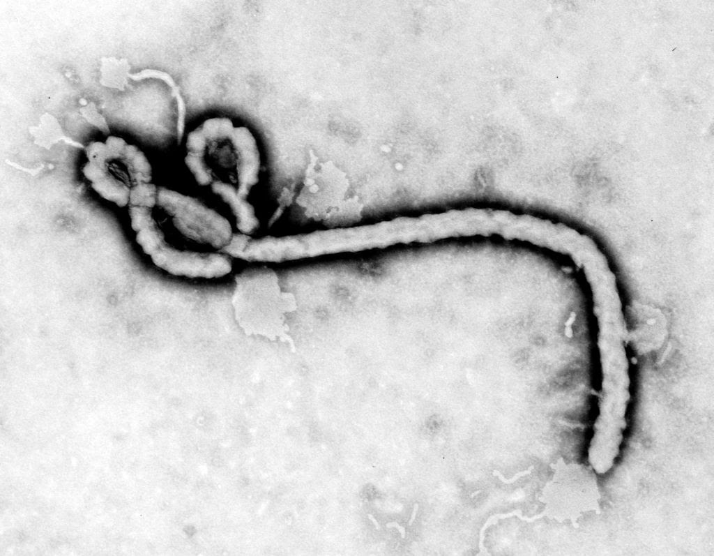 Ebola Virus Spreads To Liberia, Mali