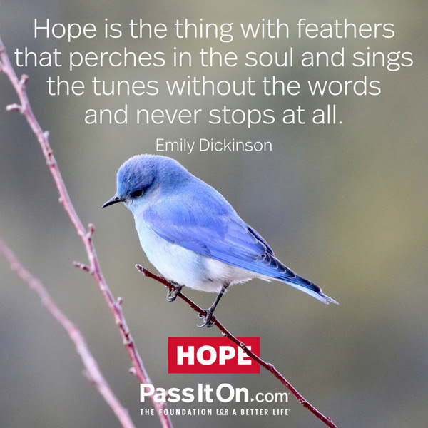 Hope is the thing with feathers that perches in the soul and sings the tunes without the words and never stops at all. Emily Dickinson
