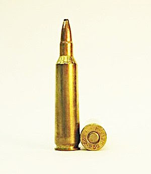 22-250 Remington.JPG