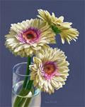 Three Gerbera Daisies - Posted on Saturday, March 7, 2015 by Nance Danforth