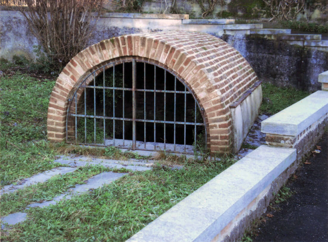 Image Image