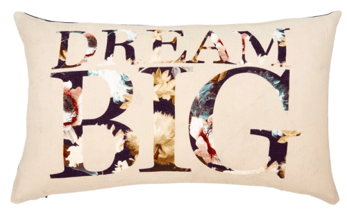 chapters-indigo-dream-big-pillow