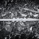 Una lanza de chonta, arma típica y tradicional de los shuar, sirve para la guerra y para la cacería; se usa para matar al hombre y a los animales.
Comunidad shuar de Buena Esperanza, Provincia de Morona Santiago, Ecuador.