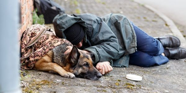 A person and his dog sleep next to each other on the sidewalk, huddling for warmth.