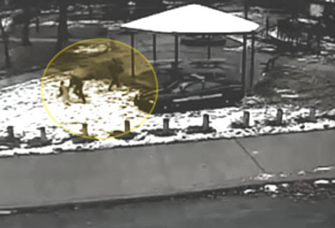 “This Has To Be The Cruelest Thing I’ve Ever Seen”: Moments After Killing Tamir Rice, Police Shoved, Cuffed Consoling Sister