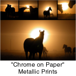 Metallic Prints
