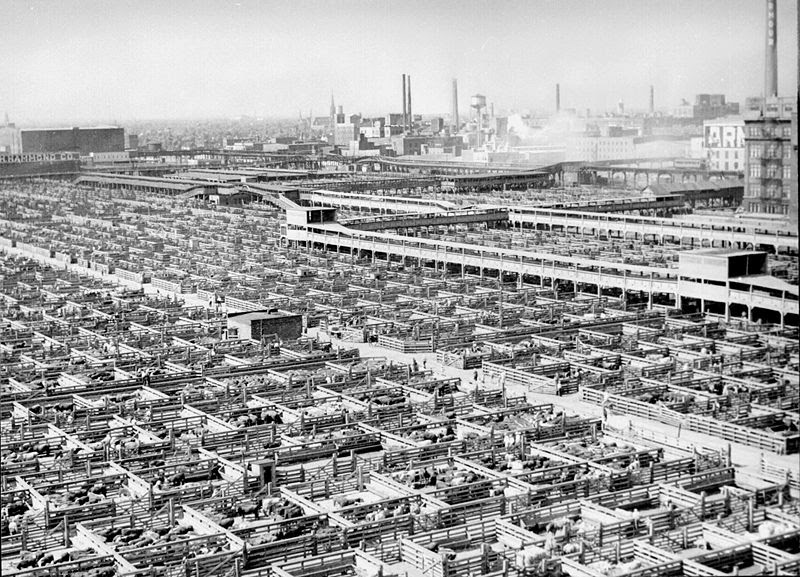 Les Union Stock Yards en 1947 (Source : Wikimedia Commons)