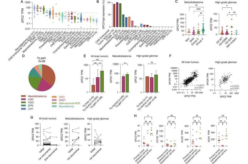 Study offers proof of concept for treating pediatric brain tumors with immunotherapy