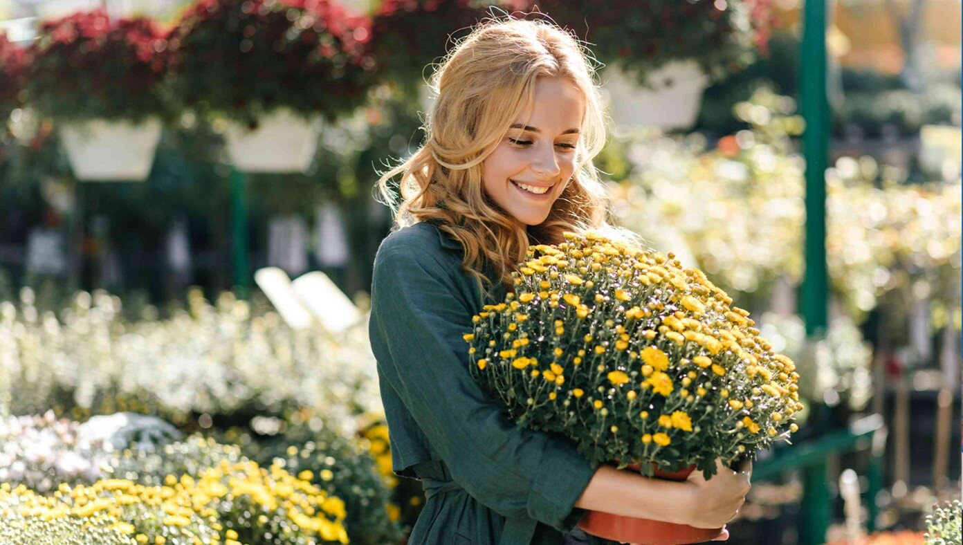 Wife Carefully Selects Perfect Fall Mums To Kill