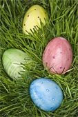 colorful easter eggs in the grass