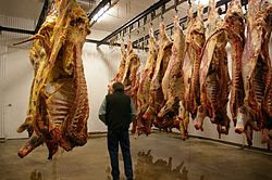 Meat hanging in cooler room-01.jpg
