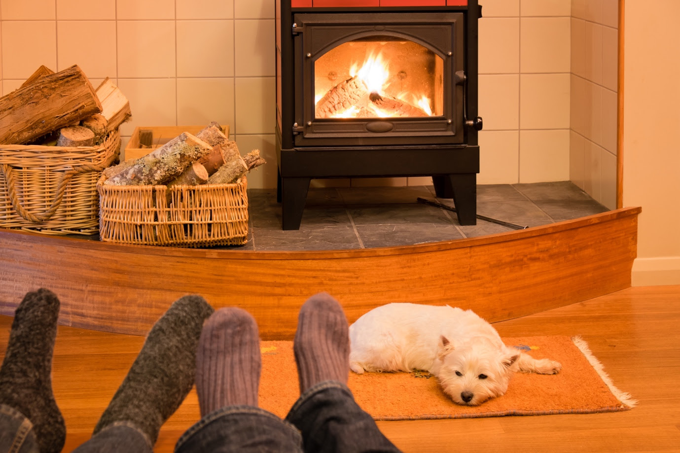 A dog lying on the floor in front of a fireplaceDescription automatically generated with medium confidence