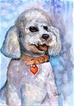 5x7 Poodle Pet Portrait Watercolor, Pen and Ink by Penny Lee StewArt - Posted on Monday, January 26, 2015 by Penny Lee StewArt