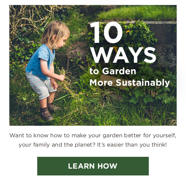 10 Ways to Garden More Sustainably