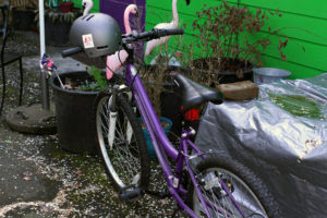 purple bike