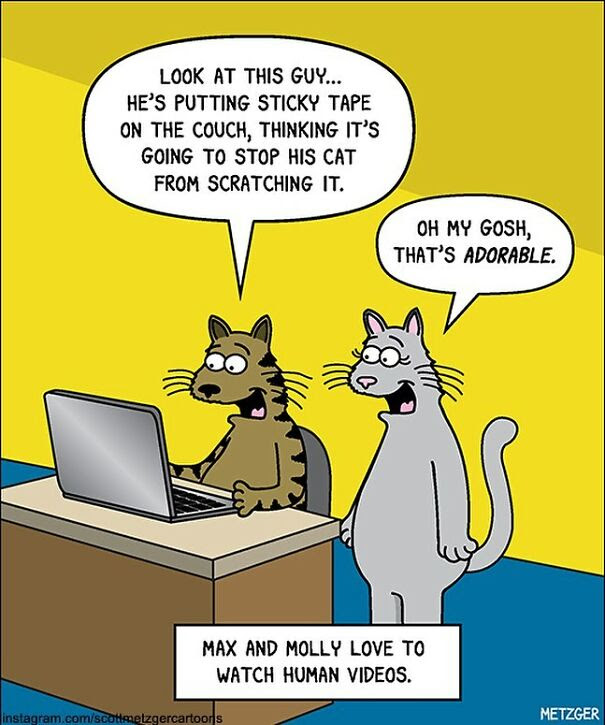 Cat Comics