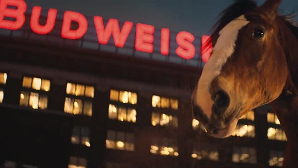 Public Not Impressed with Budweiser's New 'American Spirit' Ad: 'Fire Everyone Involved'