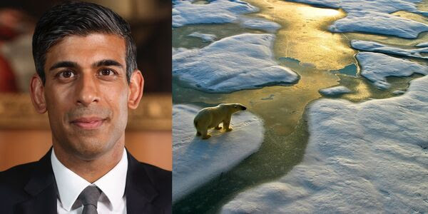 A photo of PM Sunak sits in contrast to a photo of a lone polar bear on thinning ice.