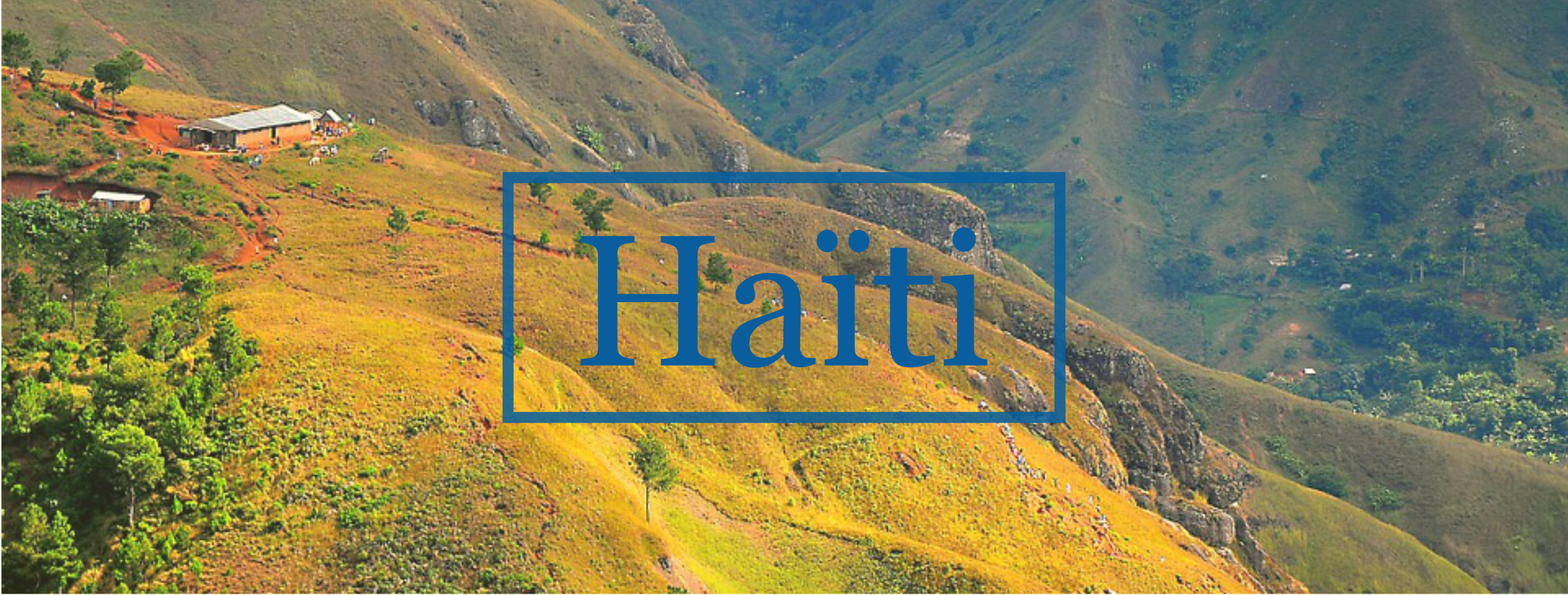 Bannière Haïti