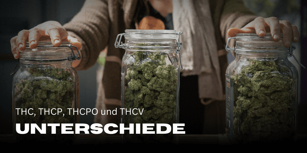 What is the difference between THC, THCP, THCPO and THCV?