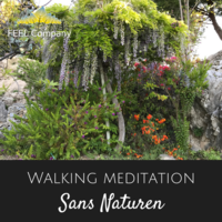Walking-Meditation-normal.png