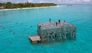 Maldives: Marine artwork destroyed after Islamic scholars judge it anti-Islamic