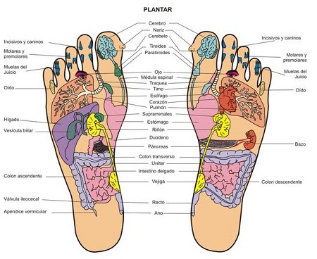 Reflexología,  técnica para disminuir el dolor y la tensión