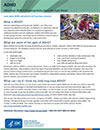 ADHD Fact Sheet