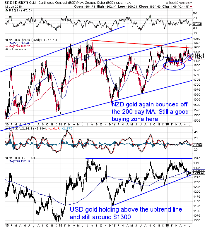 NZ Dollar Gold Chart NZ Dollar Gold Chart