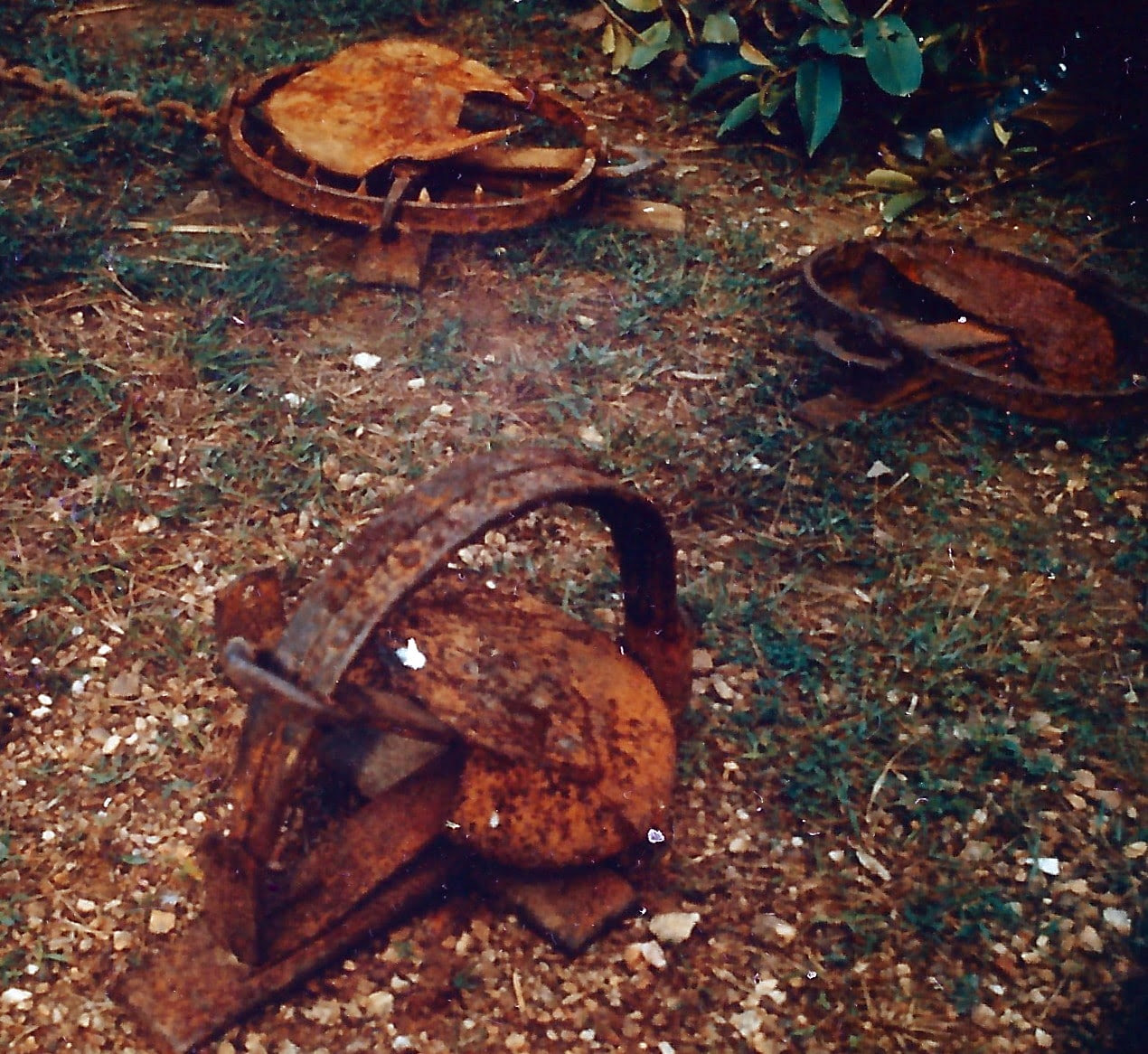 Bear traps found in Vietnam by the USMC