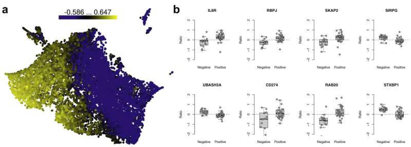 Researchers identify gene expression signature that predicts progression of type 1 diabetes