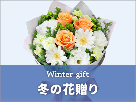 冬の花贈り ギフト・プレゼント特集2022