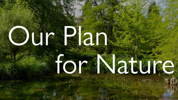 John Lewis Partnership unveils ‘plan for nature’ including landmark net-zero farm pilot project