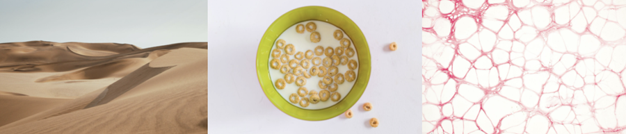 Dunes, cheerios, marrow