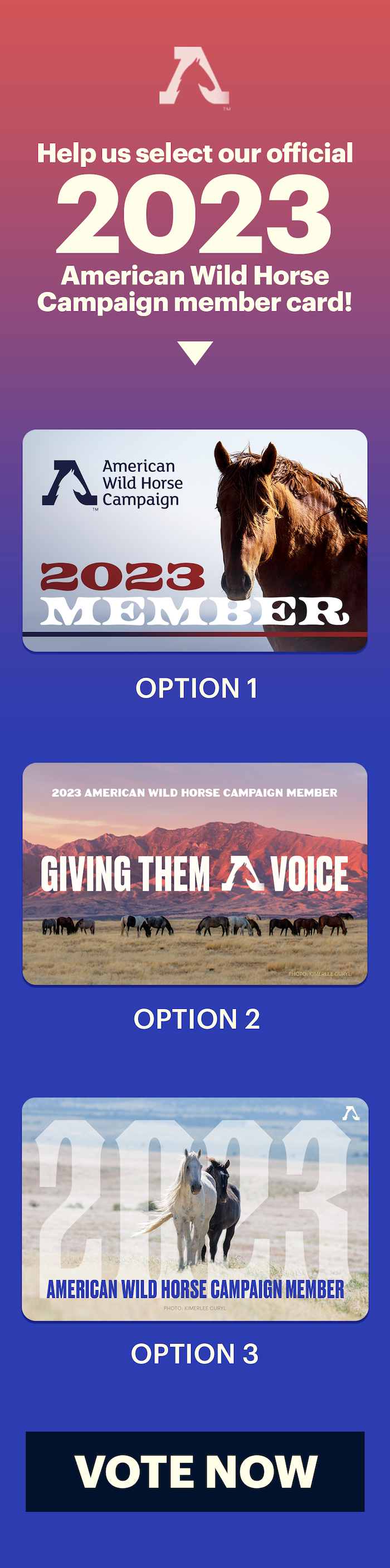 Help us select our Official 2023 American Wild Horse Campaign member card. [[Shows each of 3 options: Option 1 shows a brown mustang looking head on into the camera and says "2023 Member" Option 2 shows a dozen mustangs grazing in the field in the sunset and says "Giving Them A Voice" and Option 3 has a big "2023" in the background and shows a brown and a white stallion running towards the camera]] VOTE NOW!