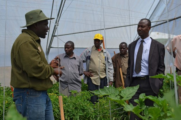 Afisa kilimo Mkoa wa Mbeya (Aliyevaa tai) akipokea maelezo ya kilimo cha mboga ndani ya hema maalumu ya kuoteshea nyanya iliyowekwa na Barton Tanzania kwa ushirikiano na TAHA