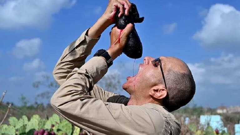 تتغذى على الدم.. مؤثر مصري يثير ضجة كبيرة بفيديو يكشف تنمو ثمار التين الشوكي الأحمر في المقابر