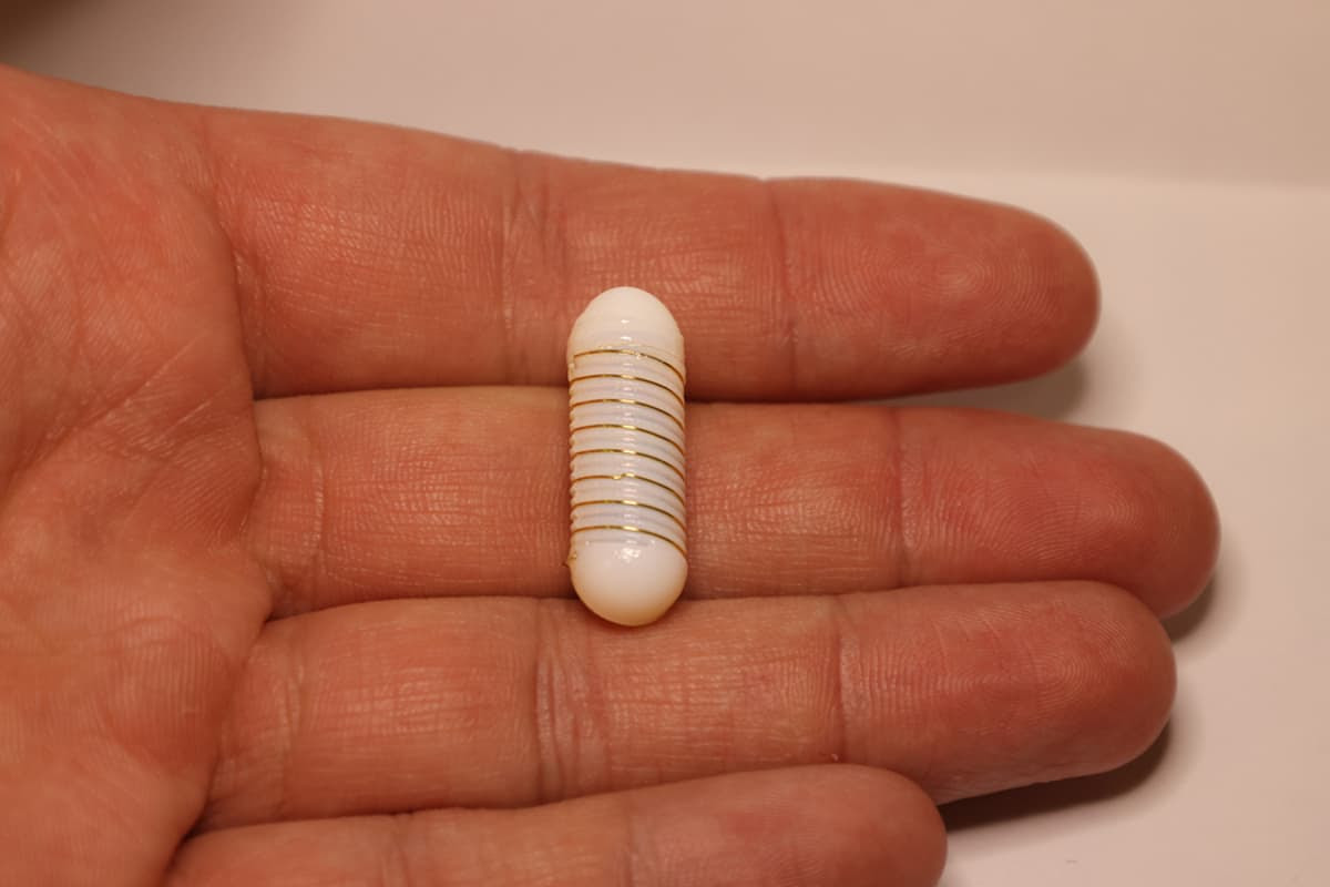 The experimental FLuid-wicking capsule for Active Stimulation and Hormone modulation – or FLASH – ingestible device