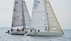 J/80 sailboats- sailing off Toronto, Canada