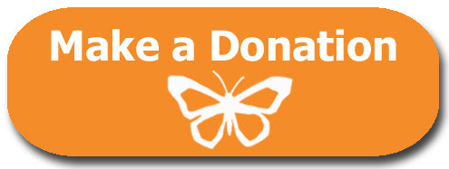donate button donate button