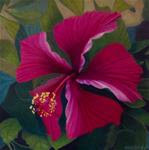 The Hibiscus - Posted on Sunday, April 5, 2015 by Nelia Harper