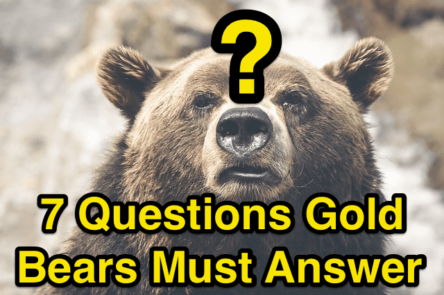 7 Questions for Gold Bears