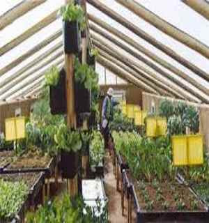 The Greenhouse Of The Future – No Extra Heating Needed